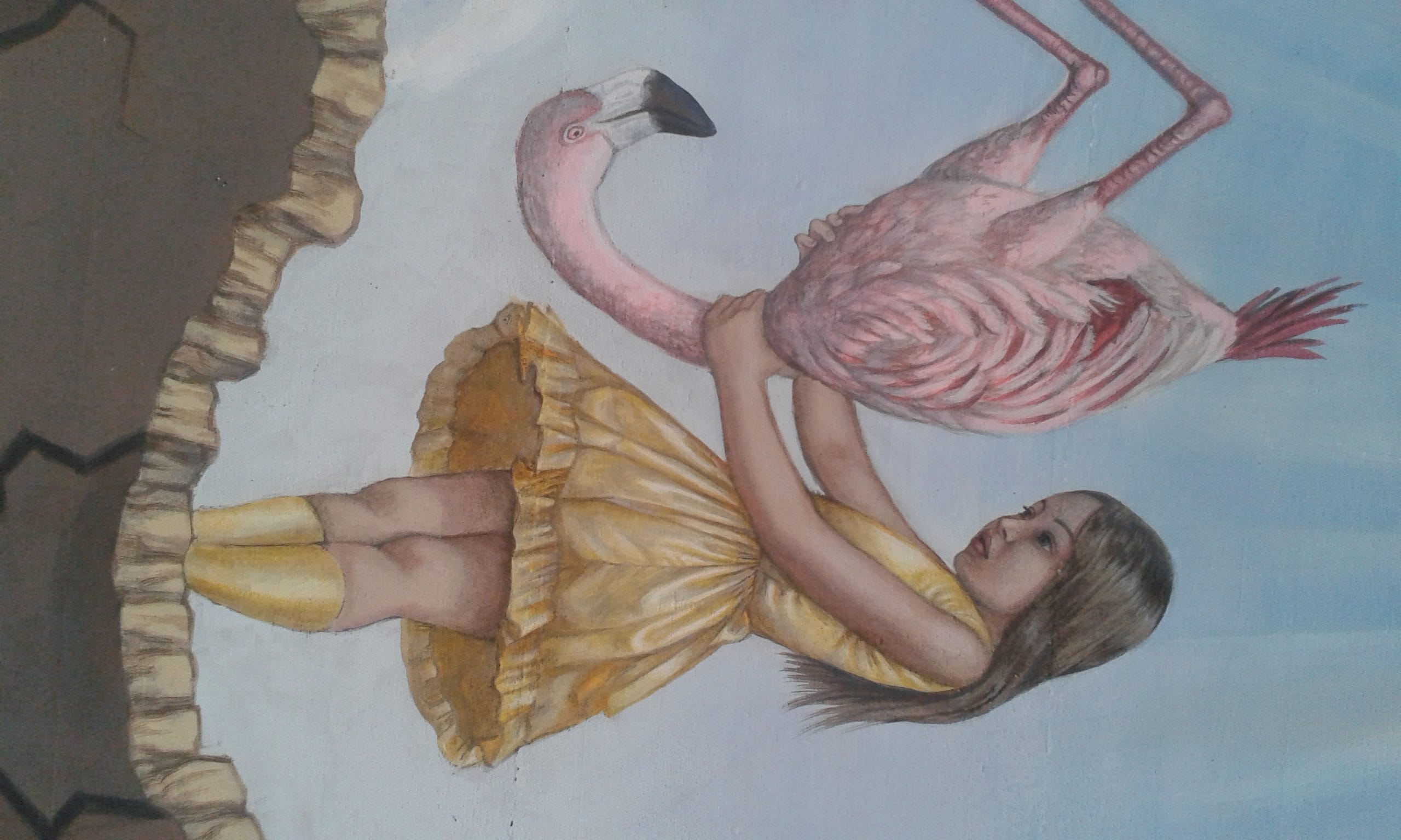 Alice con il fenicottero