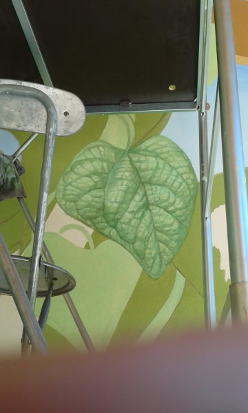 20170812_133604-e1513161679415